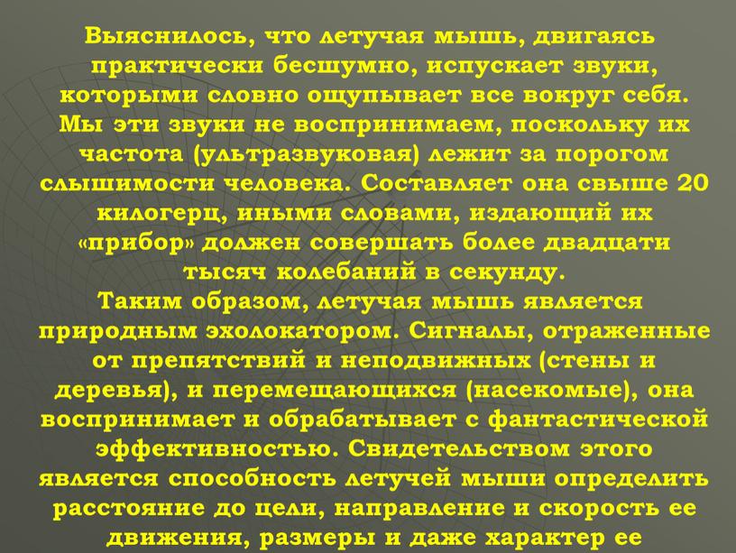 Выяснилось, что летучая мышь, двигаясь практически бесшумно, испускает звуки, которыми словно ощупывает все вокруг себя