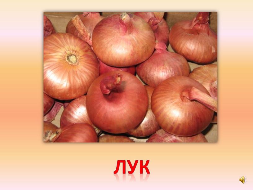 лук