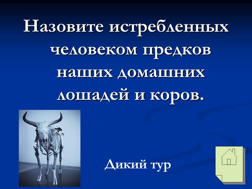 Назовите истребленных человеком предков наших домашних лошадей и коров