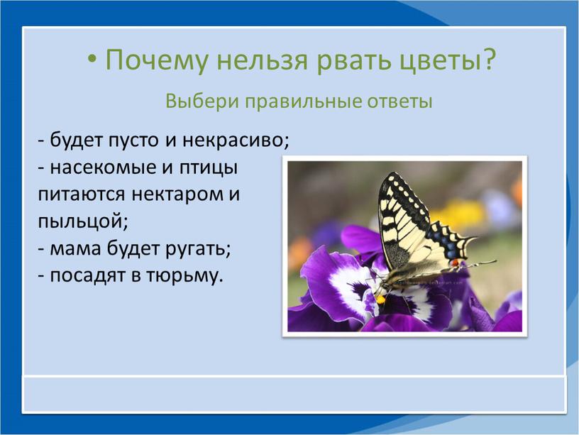 Почему нельзя рвать цветы? Выбери правильные ответы будет пусто и некрасиво; - насекомые и птицы питаются нектаром и пыльцой; - мама будет ругать; - посадят…