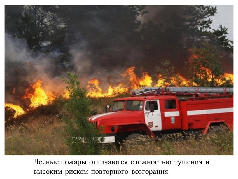 Лесные пожары отличаются сложностью тушения и высоким риском повторного возгорания