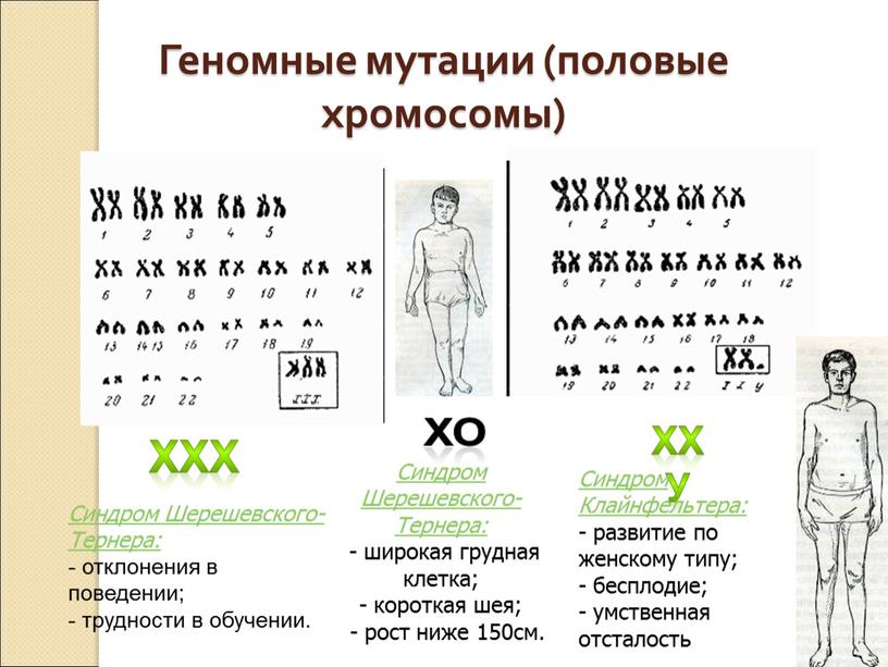 Геномные мутации (половые хромосомы)