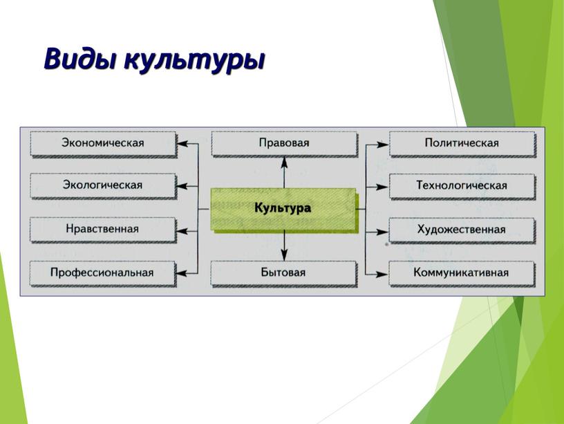 Виды культуры