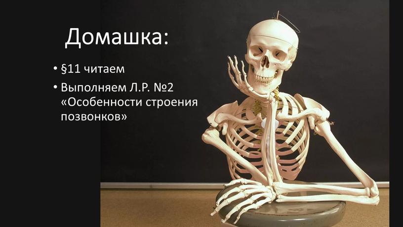 Домашка: §11 читаем Выполняем Л