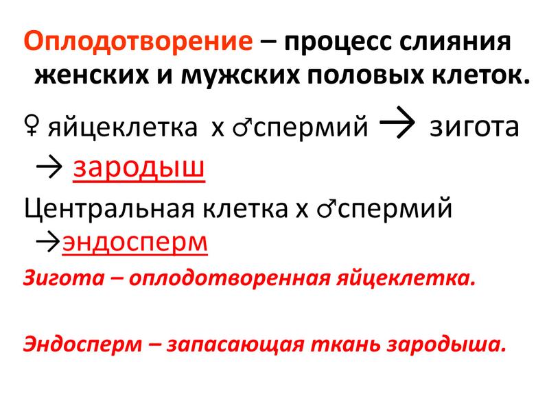 Оплодотворение – процесс слияния женских и мужских половых клеток