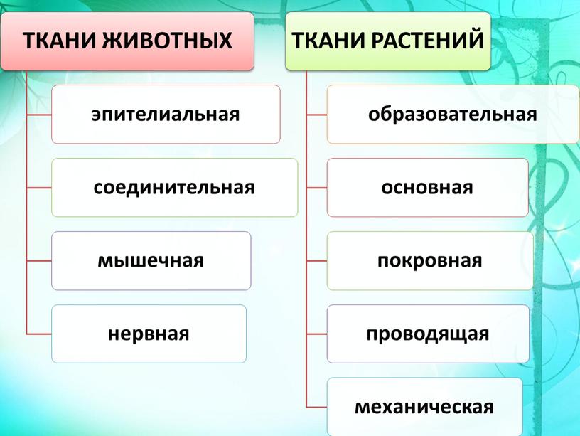 "Ткани растений"