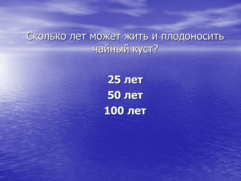 Сколько лет может жить и плодоносить чайный куст? 25 лет 50 лет 100 лет