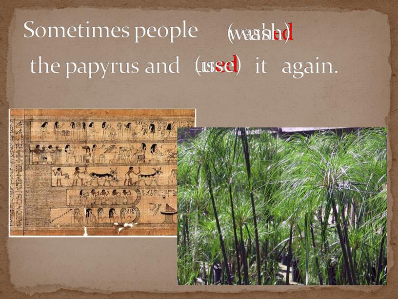 the papyrus and it