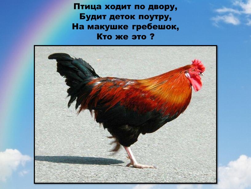 Птица ходит по двору, Будит деток поутру,