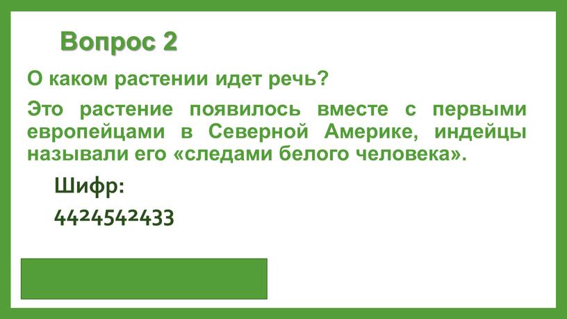 Вопрос 2 О каком растении идет речь?