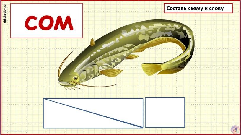 Составь схему к слову сом