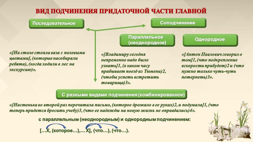 ВИД ПОДЧИНЕНИЯ ПРИДАТОЧНОЙ ЧАСТИ