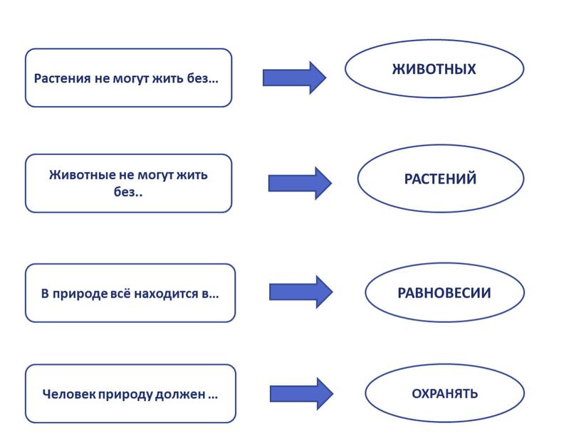 Животные не могут жить без.. В природе всё находится в…