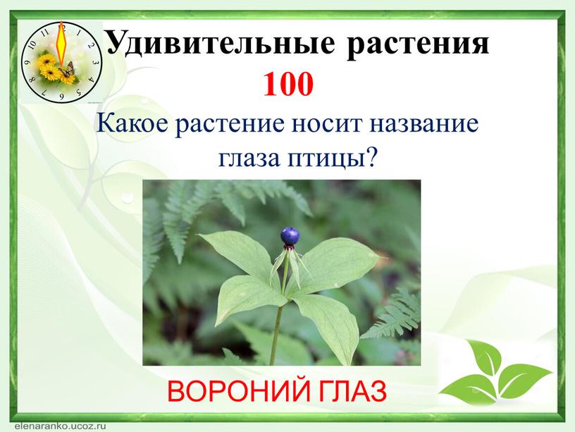 Какая нить в природе самая тонкая. Смотреть фото Какая нить в природе самая тонкая. Смотреть картинку Какая нить в природе самая тонкая. Картинка про Какая нить в природе самая тонкая. Фото Какая нить в природе самая тонкая