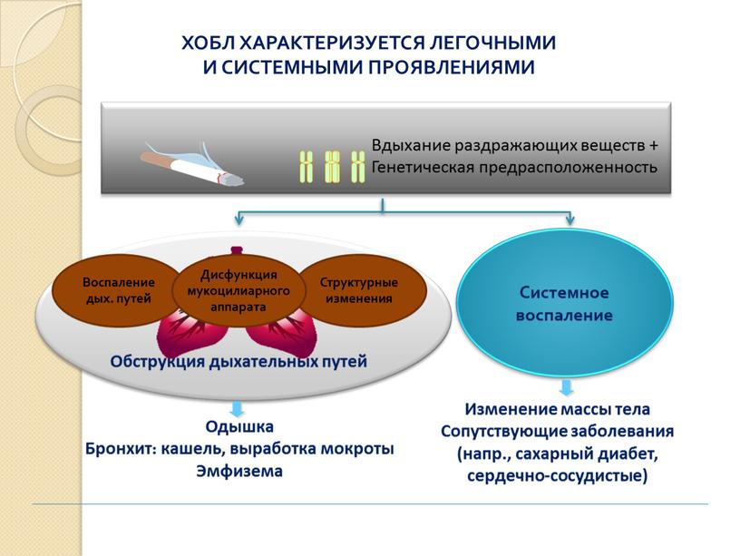 ХОБЛ ХАРАКТЕРИЗУЕТСЯ ЛЕГОЧНЫМИ