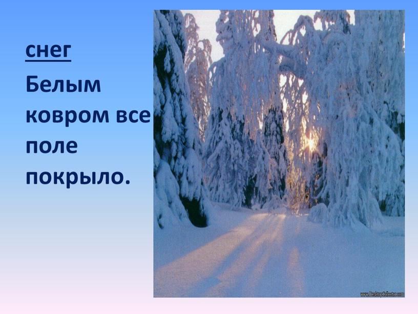 снег Белым ковром все поле покрыло.