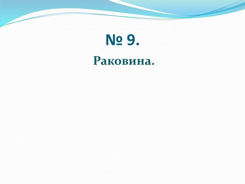 № 9. Раковина.