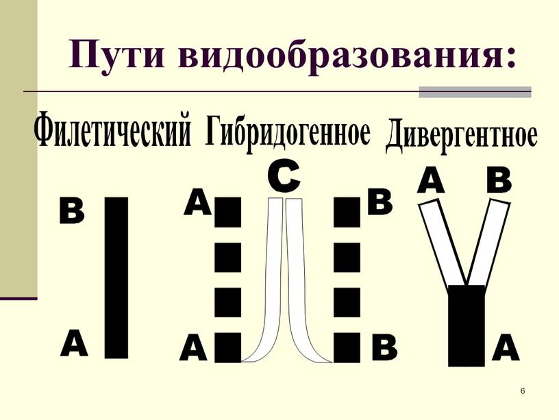 6 Пути видообразования: