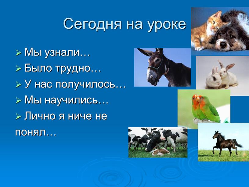 Сегодня на уроке Мы узнали… Было трудно…