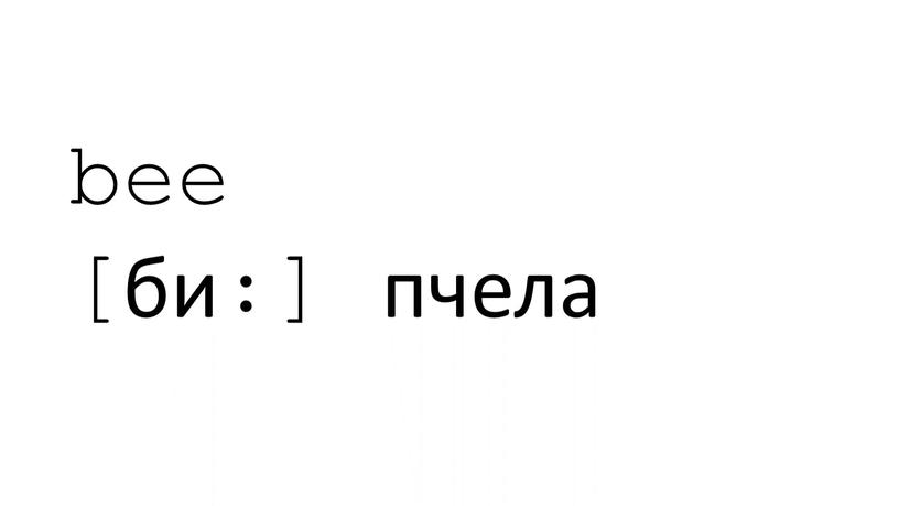 bee [би:] пчела