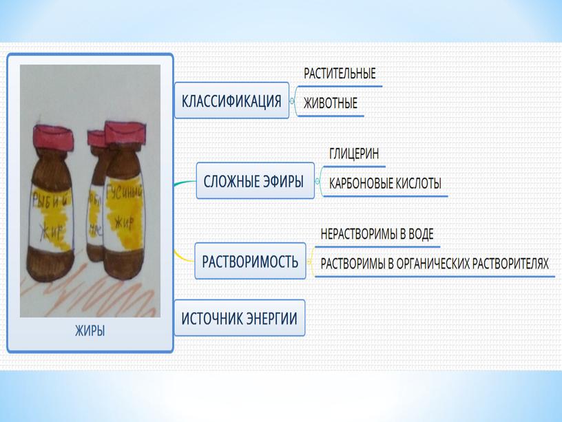 Зачет по органической химии