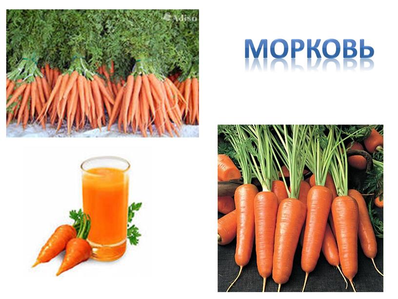 Морковь