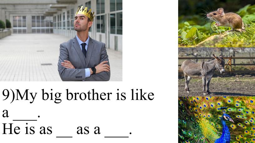 My big brother is like a ___. He is as __ as a ___