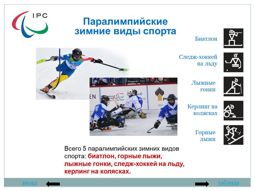 Всего 5 паралимпийских зимних видов спорта: биатлон, горные лыжи, лыжные гонки, следж-хоккей на льду, керлинг на колясках