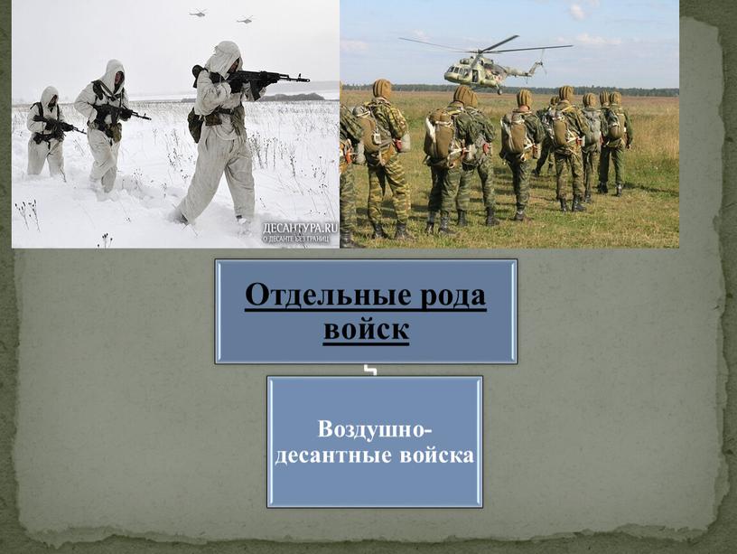 Презентация на тему "Виды и рода Вооруженных Сил РФ"