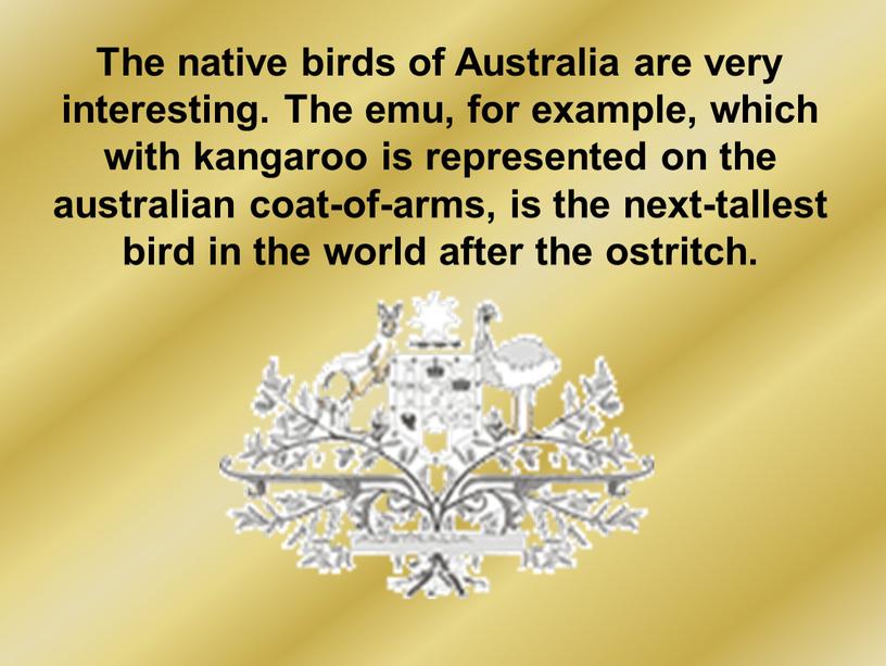 The native birds of Australia are very interesting