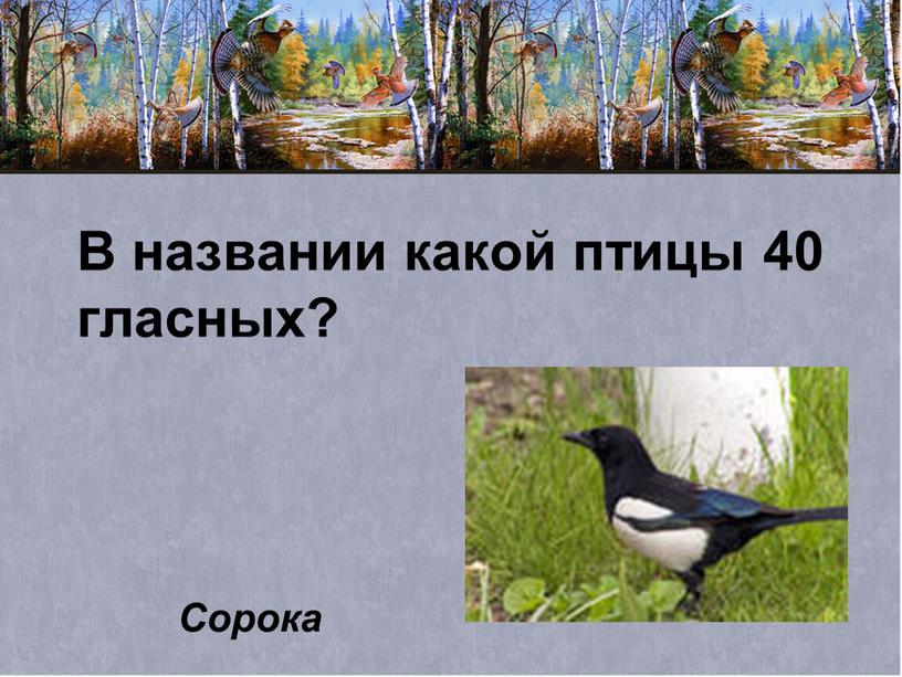 В названии какой птицы 40 гласных?