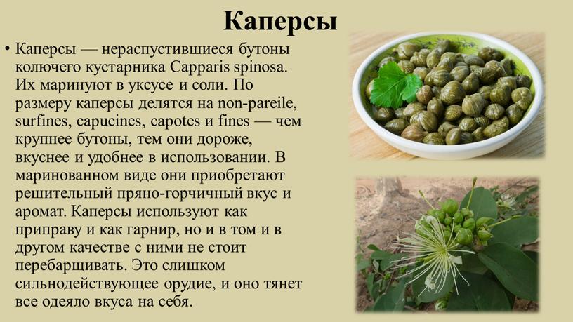 Каперсы Каперсы — нераспустившиеся бутоны колючего кустарника