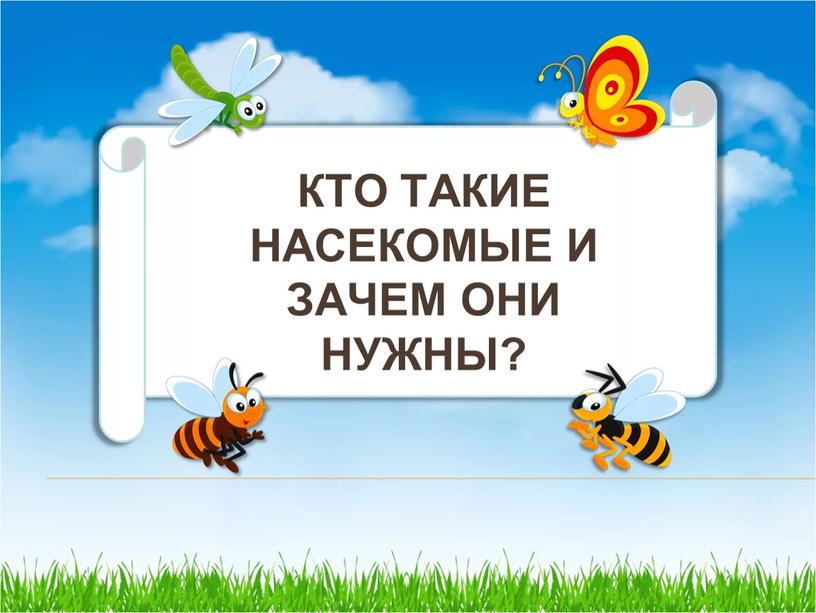 КТО ТАКИЕ НАСЕКОМЫЕ И ЗАЧЕМ ОНИ