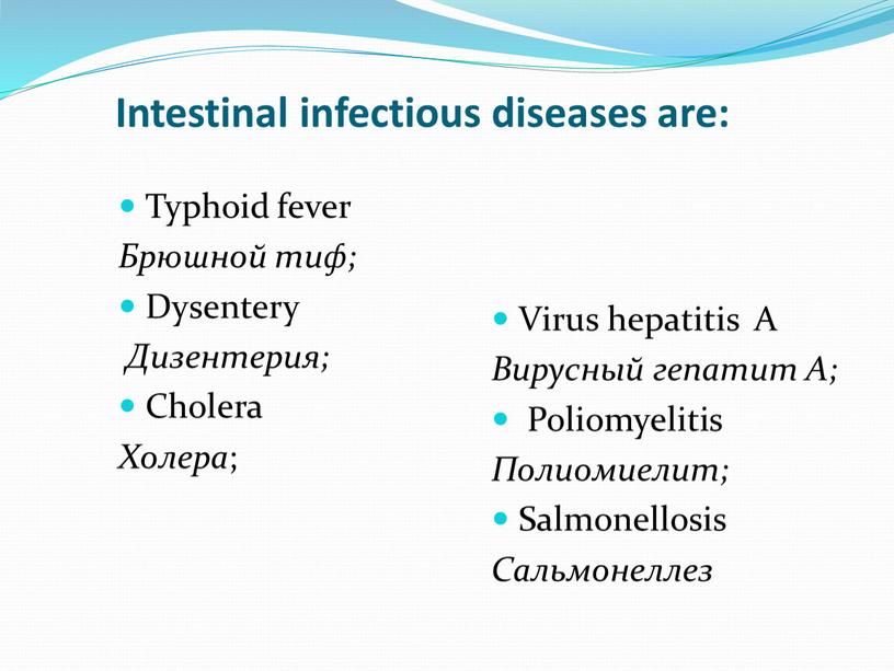 Intestinal infectious diseases are: