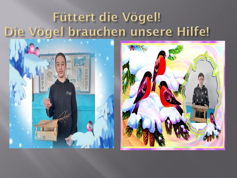 Füttert die Vögel! Die Vögel brauchen unsere