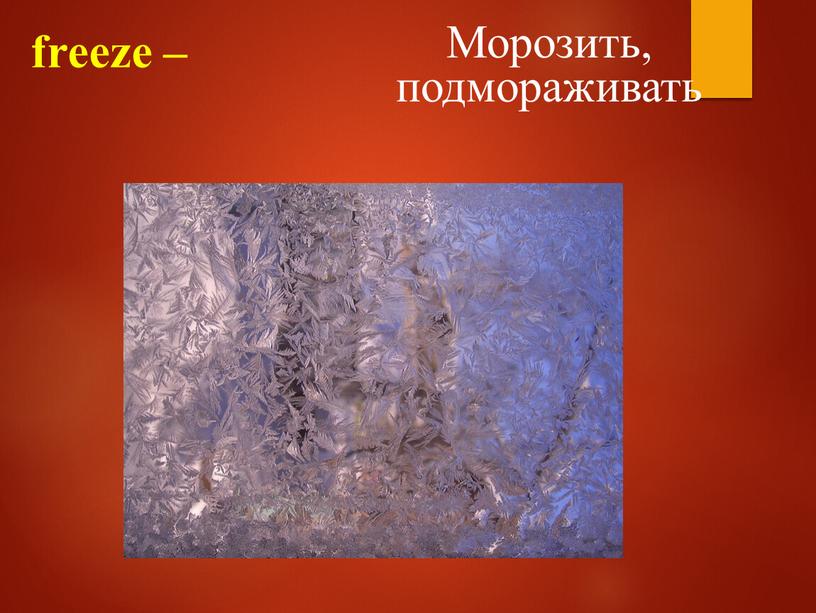 freeze – Морозить, подмораживать