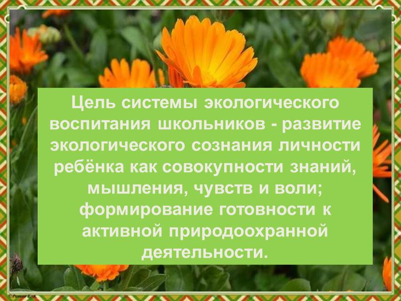 Цель системы экологического воспитания школьников - развитие экологического сознания личности ребёнка как совокупности знаний, мышления, чувств и воли; формирование готовности к активной природоохранной деятельности