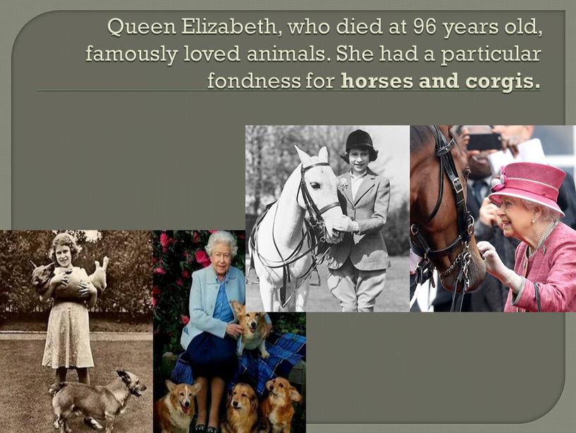 Queen Elizabeth, who died at 96 years old, famously loved animals