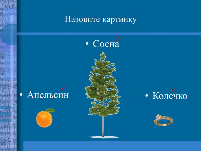 Назовите картинку Апельсин Сосна