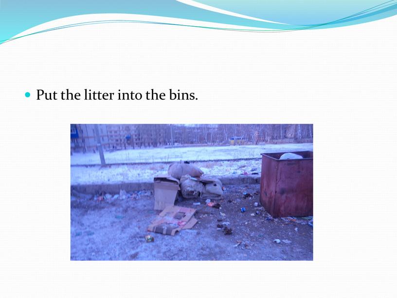 Put the litter into the bins.