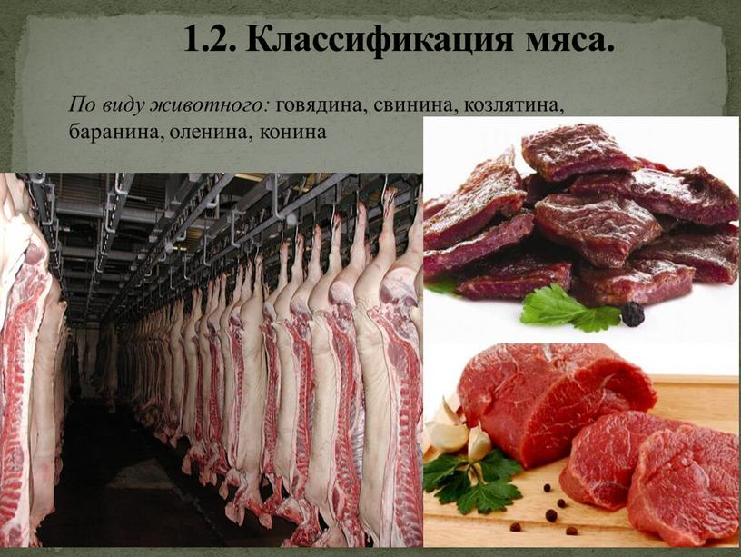 Классификация мяса. По виду животного: говядина, свинина, козлятина, баранина, оленина, конина