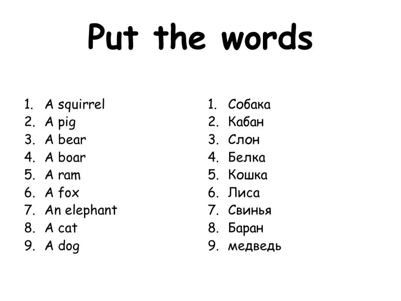 Put the words A squirrel A pig