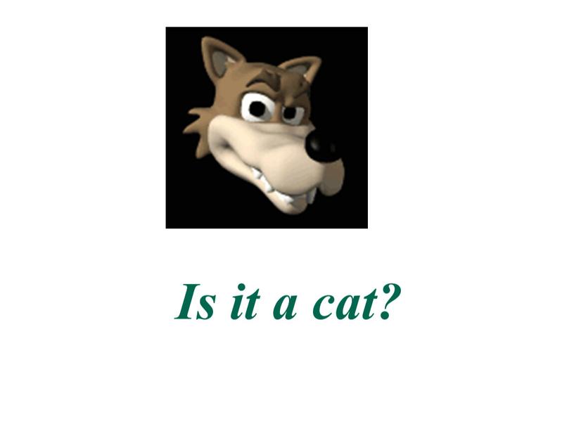 Is it a cat?