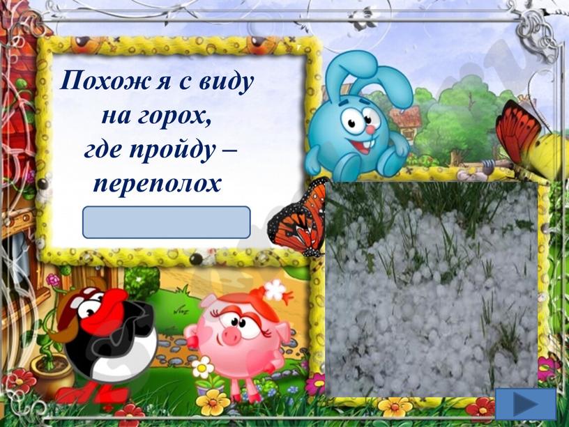 Похож я с виду на горох, где пройду – переполох град