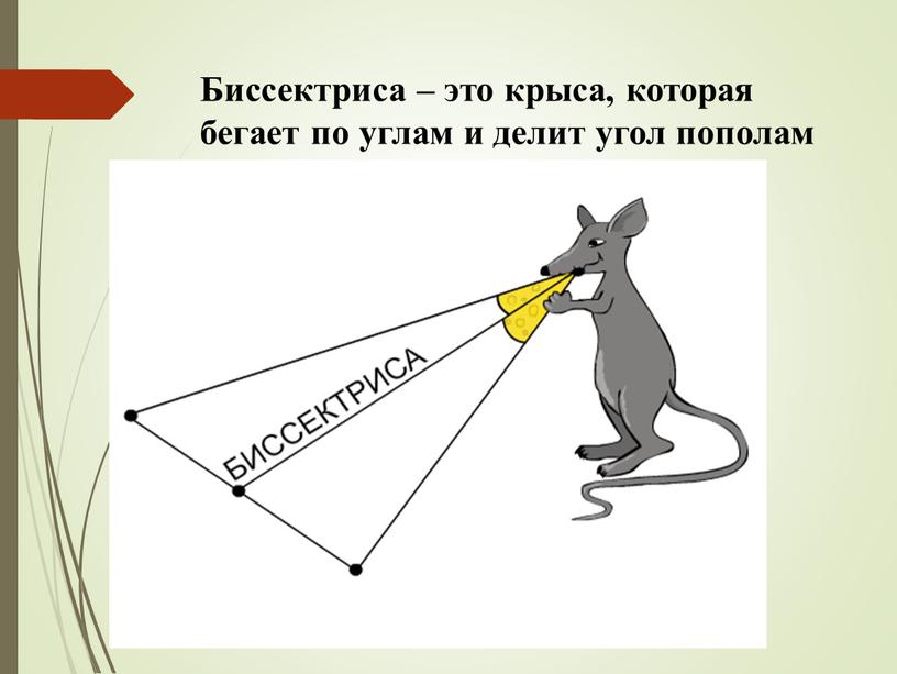 Биссектриса – это крыса, которая бегает по углам и делит угол пополам