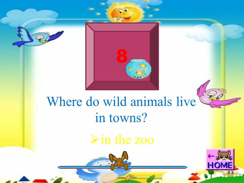 Where do wild animals live in towns? in the zoo