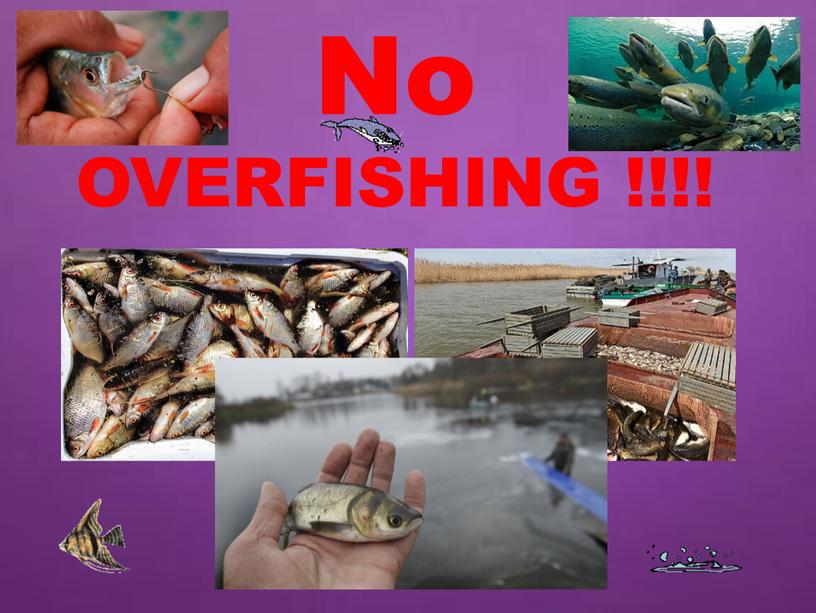 No OVERFISHING !!!!