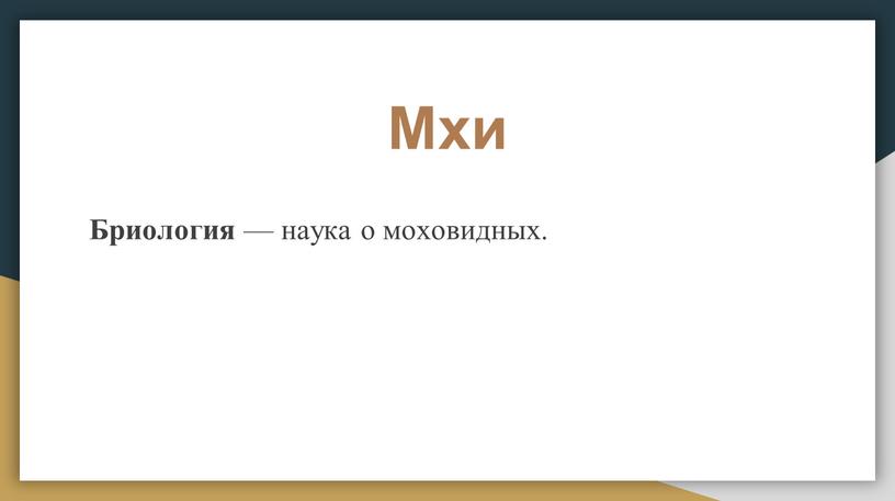 Мхи Бриология — наука о моховидных