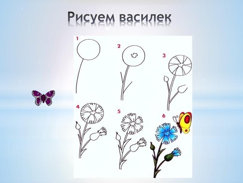 Рисуем василек