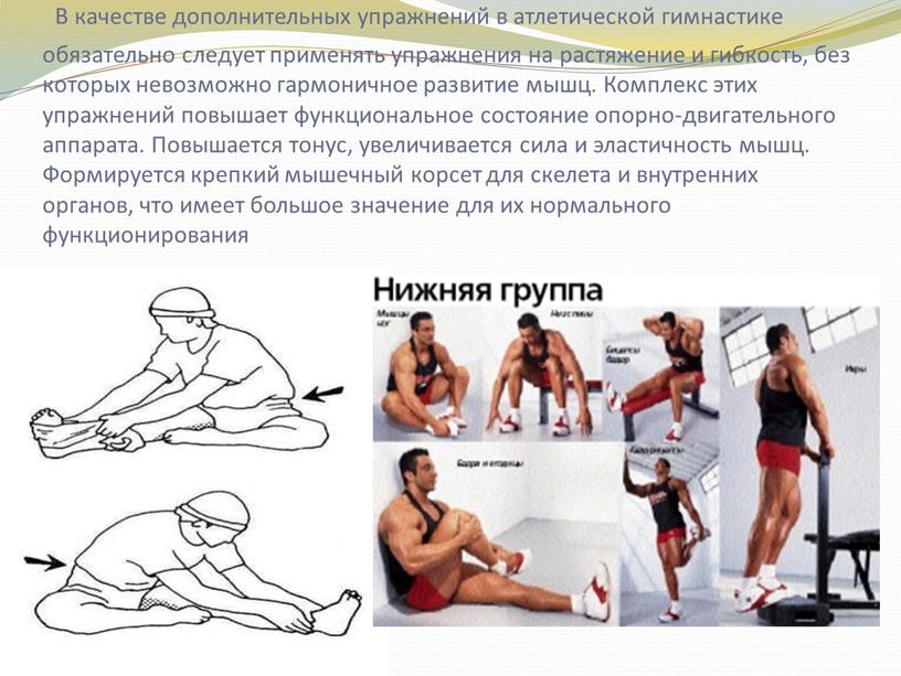 В качестве дополнительных упражнений в атлетической гимнастике обязательно следует применять упражнения на растяжение и гибкость, без которых невозможно гармоничное развитие мышц